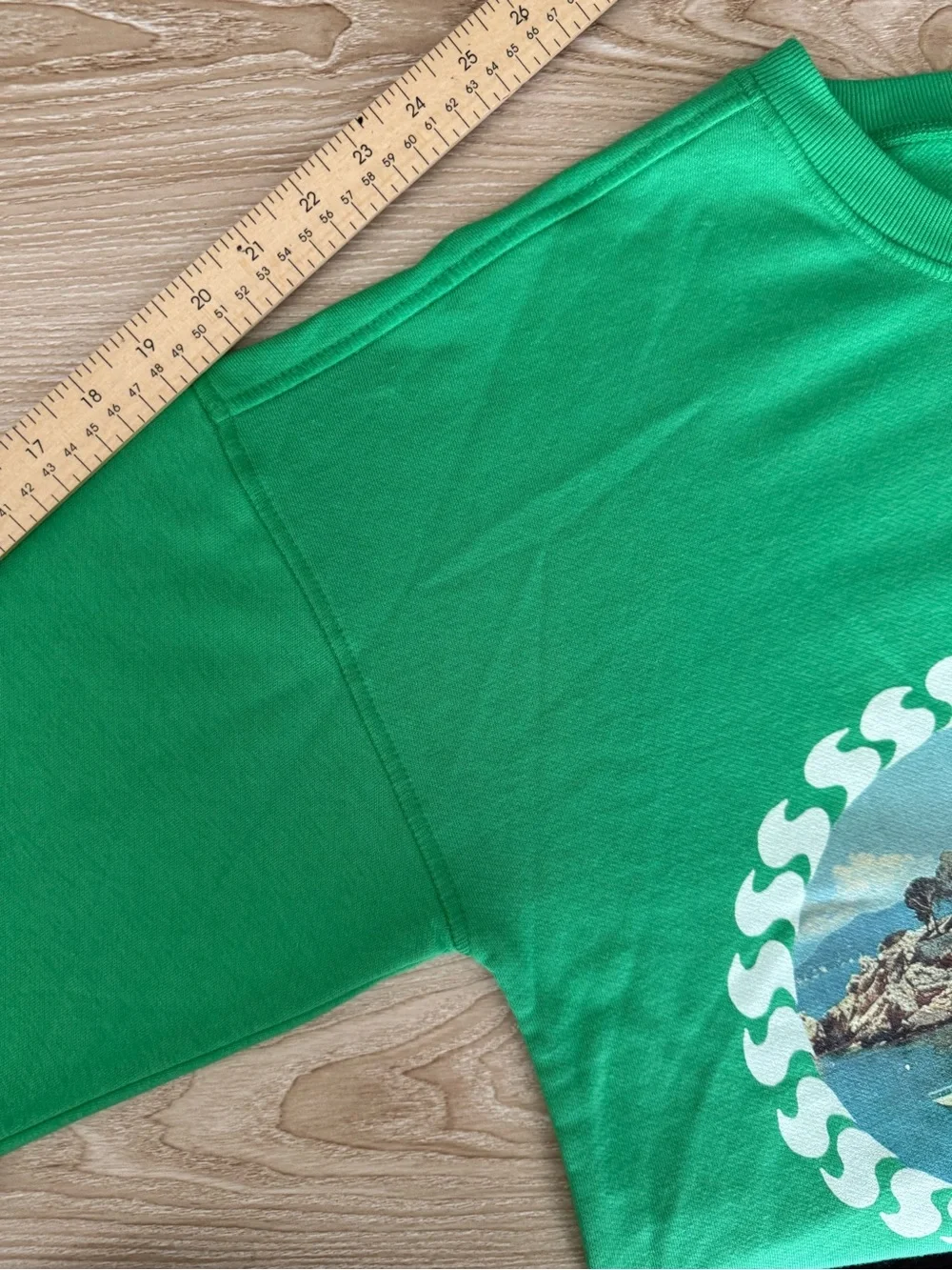 Anthropologie Celandine XXS/XS NEW Crew-Neck Graphic Sweatshirt Green Oversized